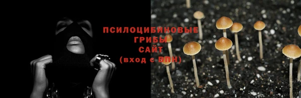 ГАЛЛЮЦИНОГЕННЫЕ ГРИБЫ Арсеньев