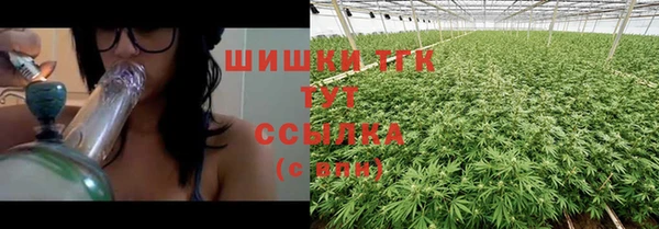 ГАЛЛЮЦИНОГЕННЫЕ ГРИБЫ Арсеньев