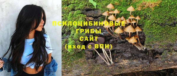 ГАЛЛЮЦИНОГЕННЫЕ ГРИБЫ Арсеньев