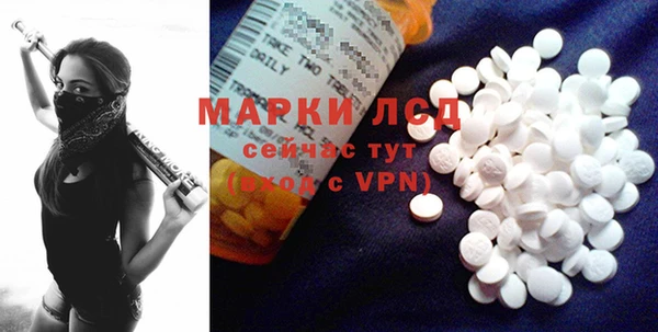 ГАЛЛЮЦИНОГЕННЫЕ ГРИБЫ Арсеньев