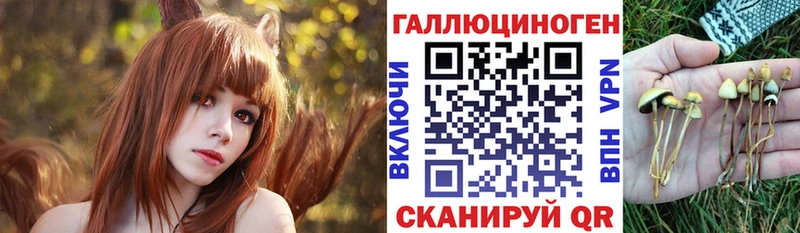 Галлюциногенные грибы MAGIC MUSHROOMS  Сергач 